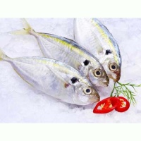 Cá chỉ vàng loại 1 đã làm sạch